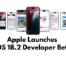 Apple launches the iOS 18.2 Developer Beta