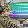 Exploring Fugatto: NVIDIA's Groundbreaking Generative AI Tool for Audio