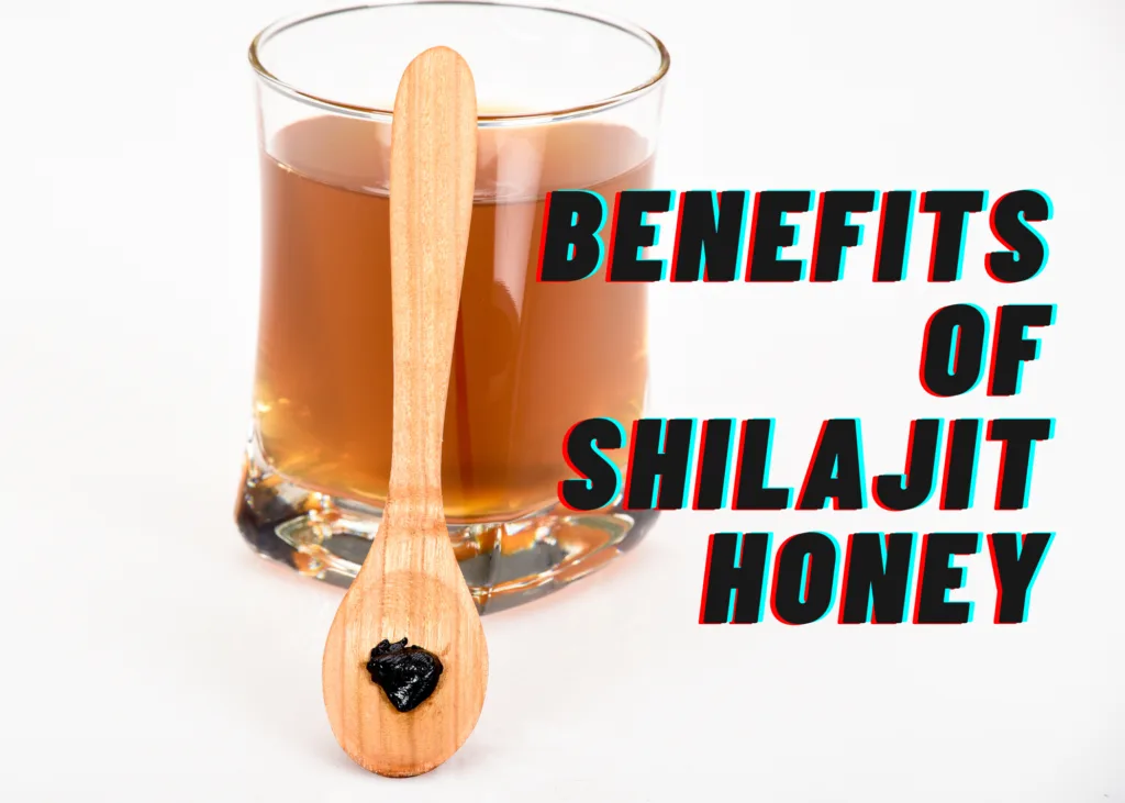 Shilajit Honey: 5 Surprising Benefits for Natural Wellness