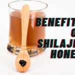 Shilajit Honey: 5 Surprising Benefits for Natural Wellness