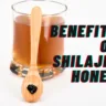 Shilajit Honey: 5 Surprising Benefits for Natural Wellness